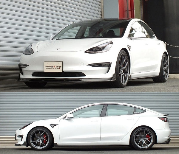 RS-R Ti2000 Down Sus Lowering Springs - Tesla Model 3 Performance and AWD LR